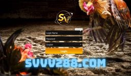 Svvv288.com Link tổng gà SV388 chính chủ uy tín mới nhất